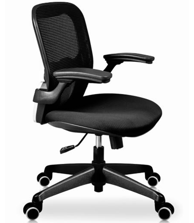 silla bond